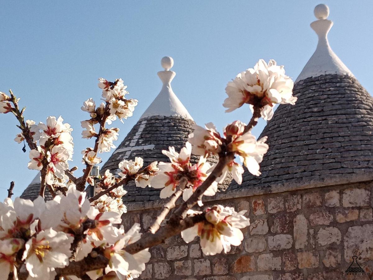Il Mandorlo Villa Ostuni Exteriör bild